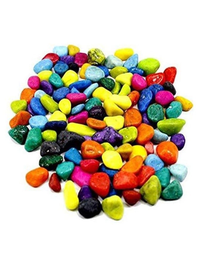 Somil Multicolor Pebbles/Stones for Garden, Plants, Lawns, Aquariums, Fish Pots, Home Decor, Vases, Furniture Filler. Size: 10-30mm, Shiny Multicolor -A581 - Image 1